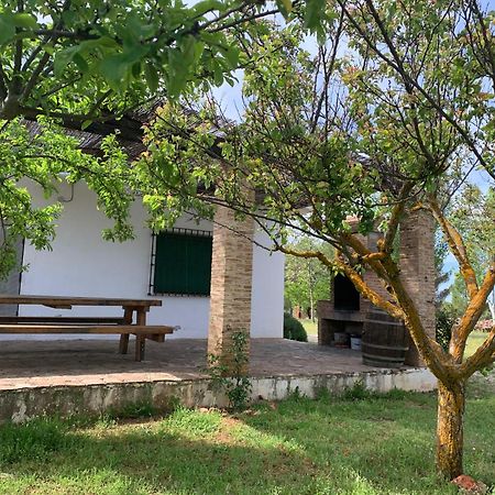 Gran Casa, Lagunas De Ruidera, Bbq, Porche, Chimenea Extérieur photo