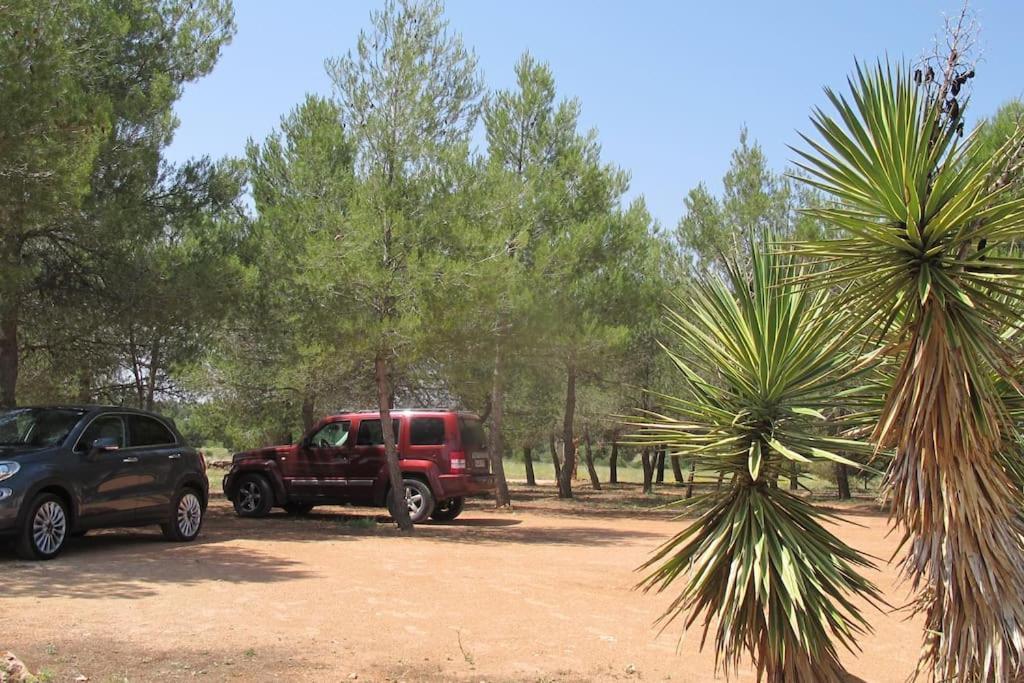 Gran Casa, Lagunas De Ruidera, Bbq, Porche, Chimenea Extérieur photo