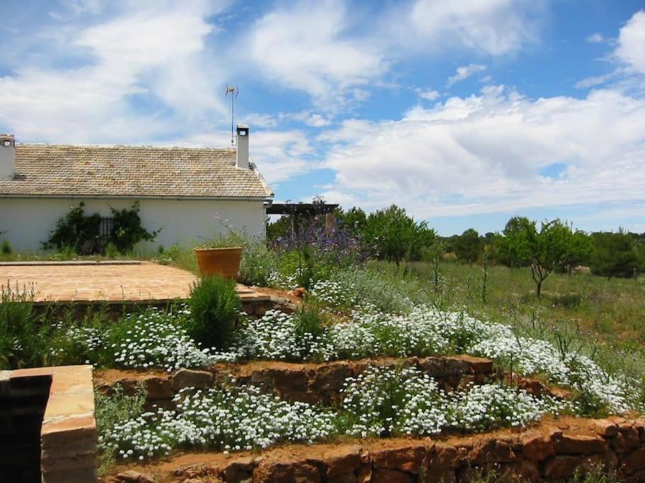 Gran Casa, Lagunas De Ruidera, Bbq, Porche, Chimenea Extérieur photo