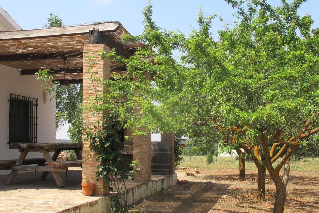 Gran Casa, Lagunas De Ruidera, Bbq, Porche, Chimenea Extérieur photo